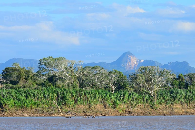 Landscape on the Rio Alto Beni