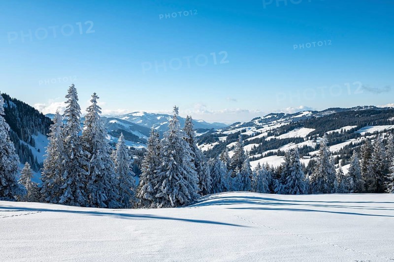 Snowy winter landscape on the Gurnigel Pass