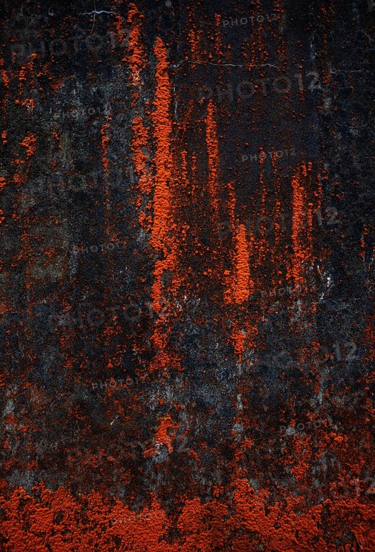 House facade with red algae growth