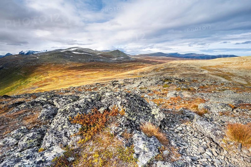 Autumn fell landscape
