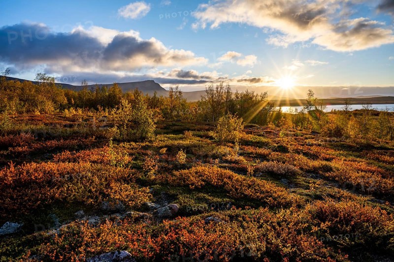 Autumn fell landscape