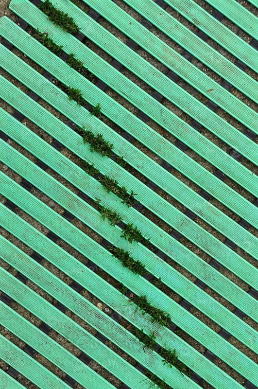 Board-like flooring made of green plastic with grass growing through