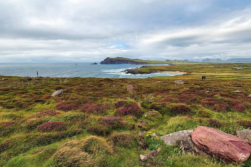 Viewpoint Clogher Head
