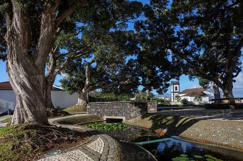 Park at the Church of Nossa Senhora da Estrela with Town Hall Tower and Ironwood Trees