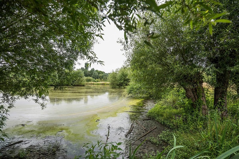 Floodplain landscape of the Erft