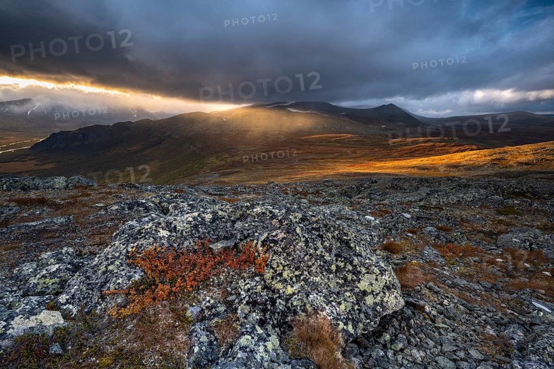 Autumn fell landscape