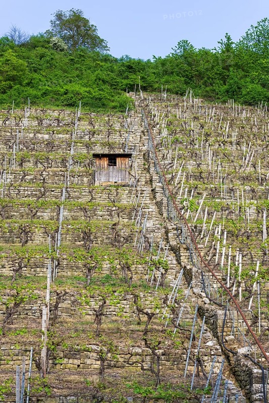 Vineyard stairs