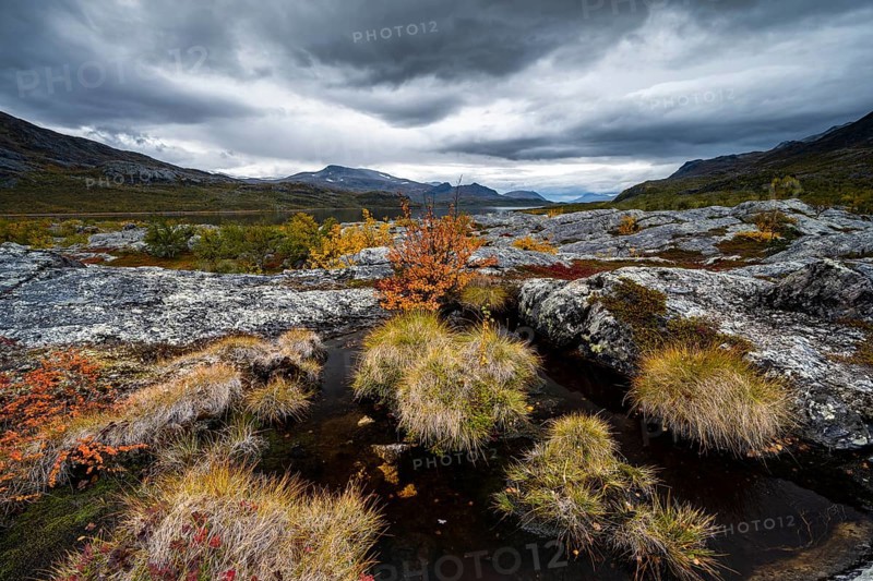 Autumn fell landscape