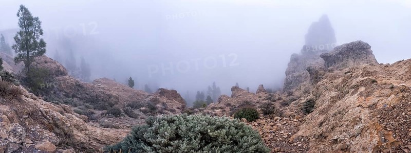 Sunrise in fog