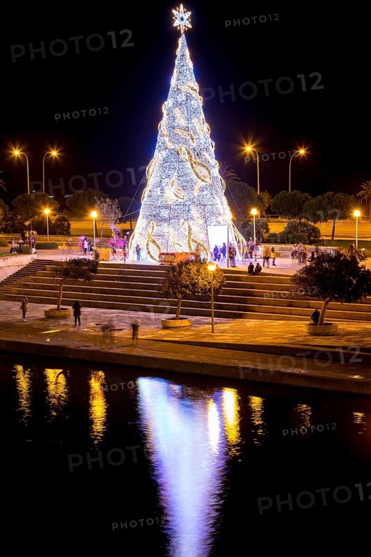 Illuminated Christmas tree