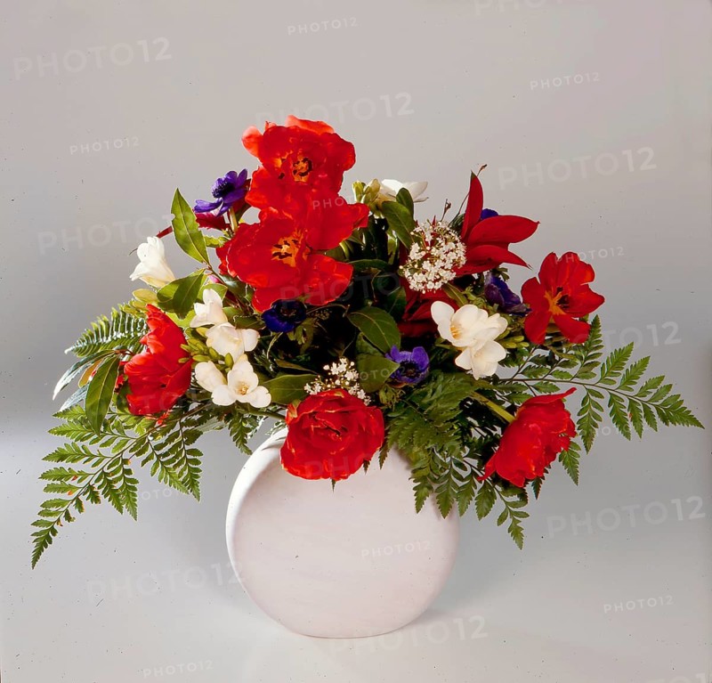 Spring flowers in the vase Clap poppy
