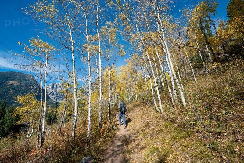 Young man on the hiking trail to Taggart Lake
