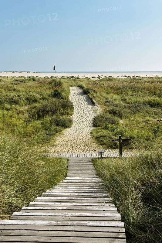 Boardwalk in the dunes near Wittduen