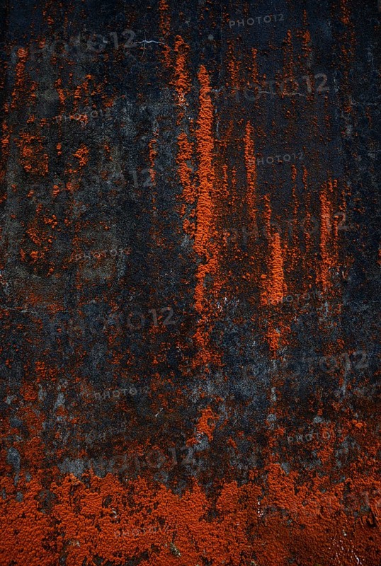 House facade with red algae growth