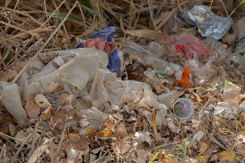 Discarded plastic bottles and other garbage in a meadow in the shore zone. Ermakov island