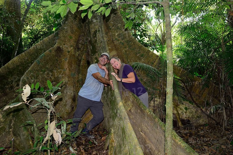 Tourists between Buttress root of a jungle giant