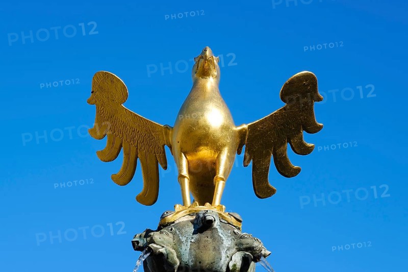 Eagle on the market fountain