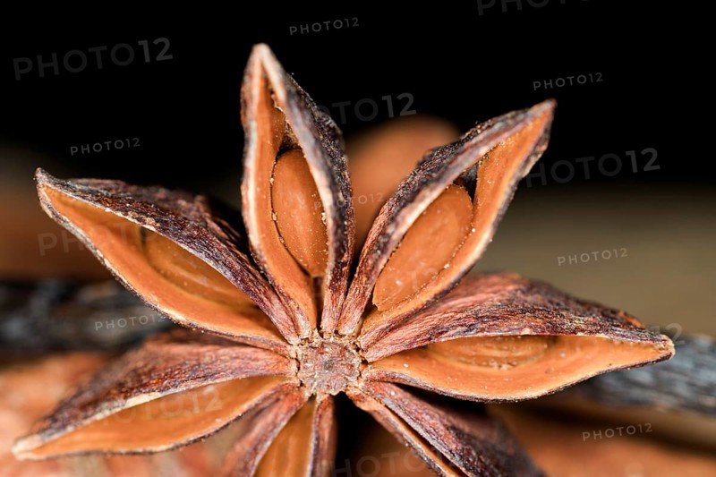 Close-up of a star anise