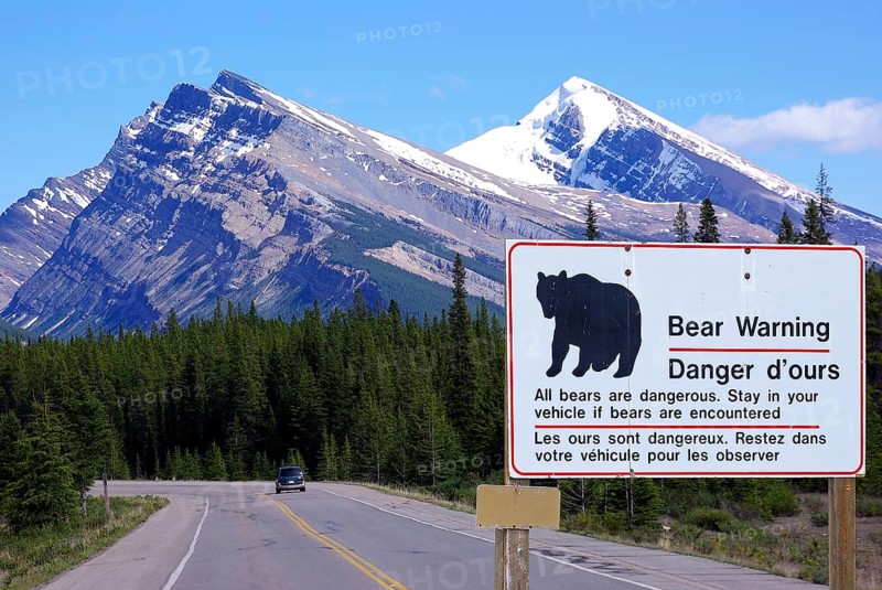 Sign warning of bears