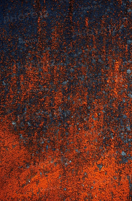 House facade with red algae growth