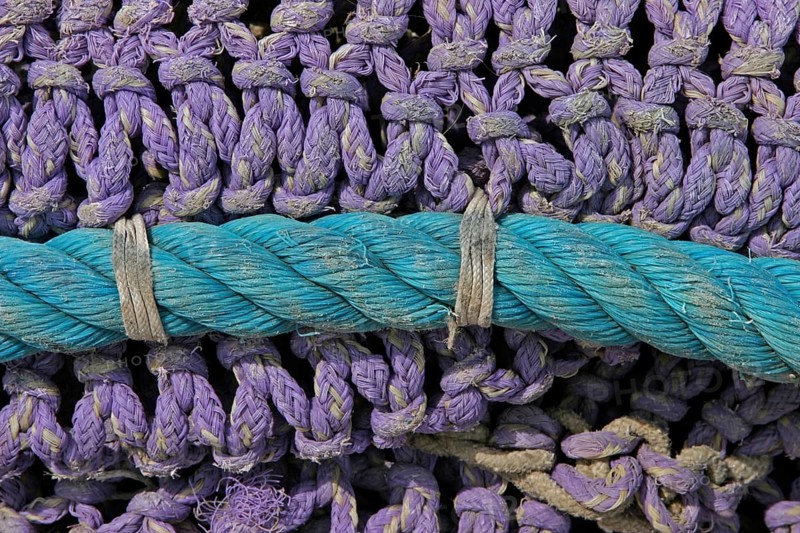 Green rope on purple fishing net