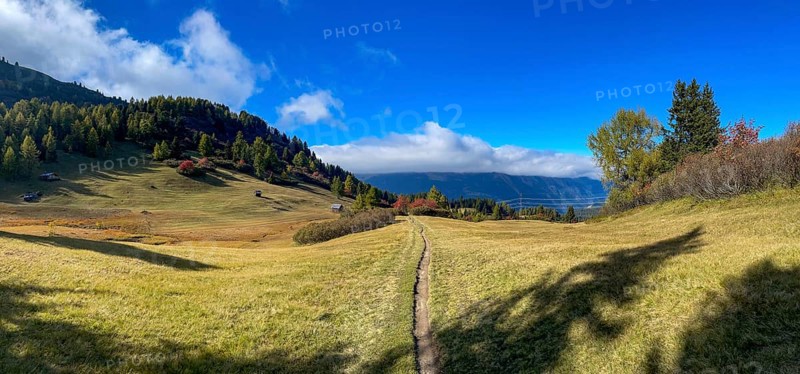 Single Trail at the Rescheralm