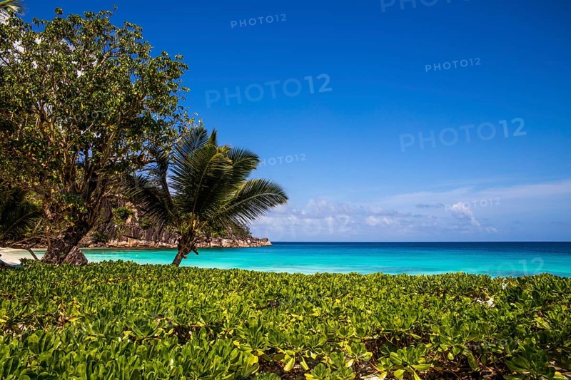Petite Anse beach with granite rocks