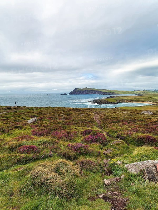 Viewpoint Clogher Head