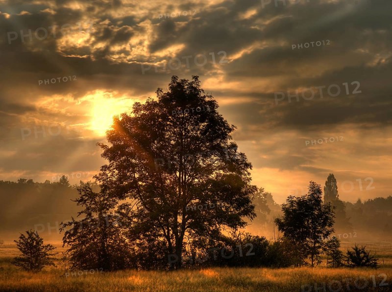 Sunrise in autumn 2007 in the nature reserve Hainberg near Fuerth in Middle Franconia in Bavaria in Germany