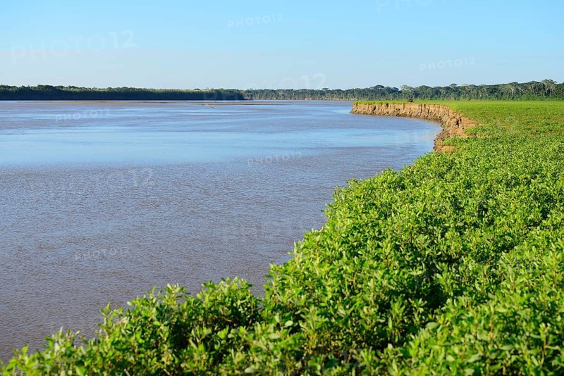 Banks of the Rio Alto Beni