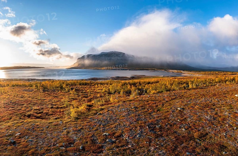 Autumn fell landscape
