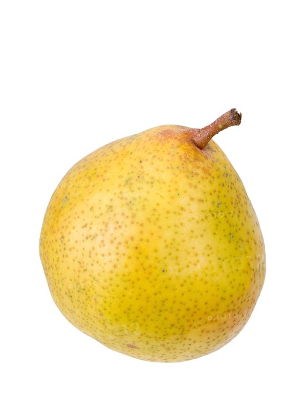 Pear variety Lemon pear