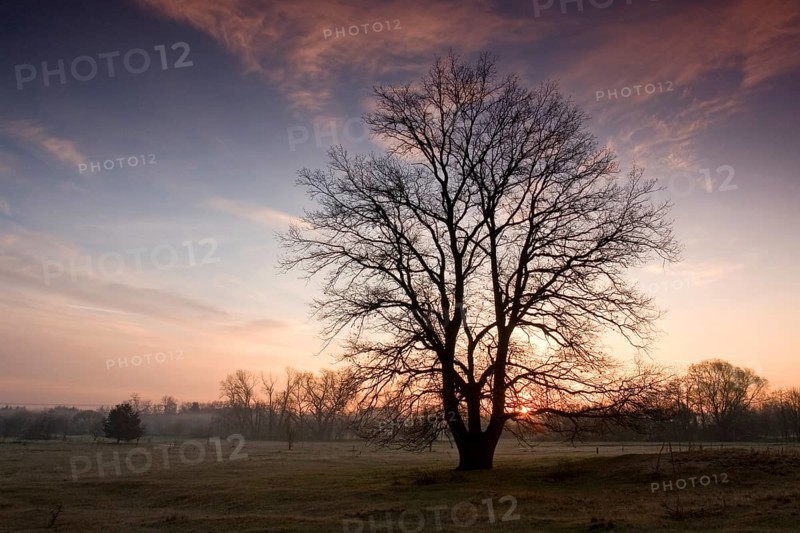 Sunrise in Fuerth County in Middle Franconia in Bavaria in Germany