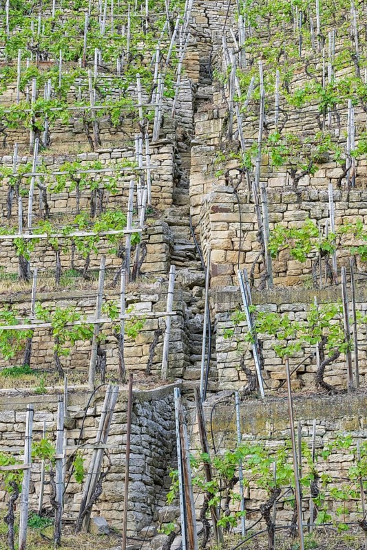 Vineyard stairs