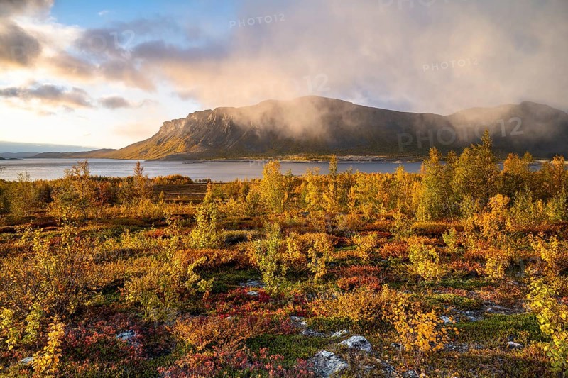 Autumn fell landscape