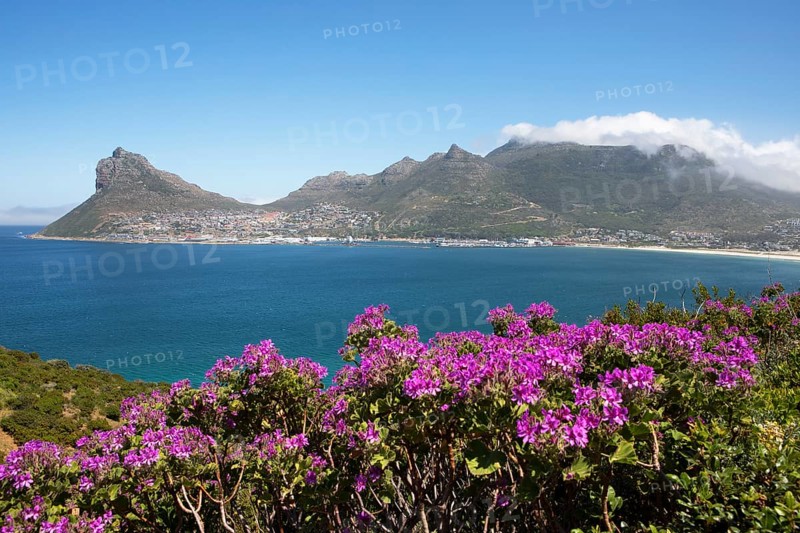 Coast and Atlantic Ocean