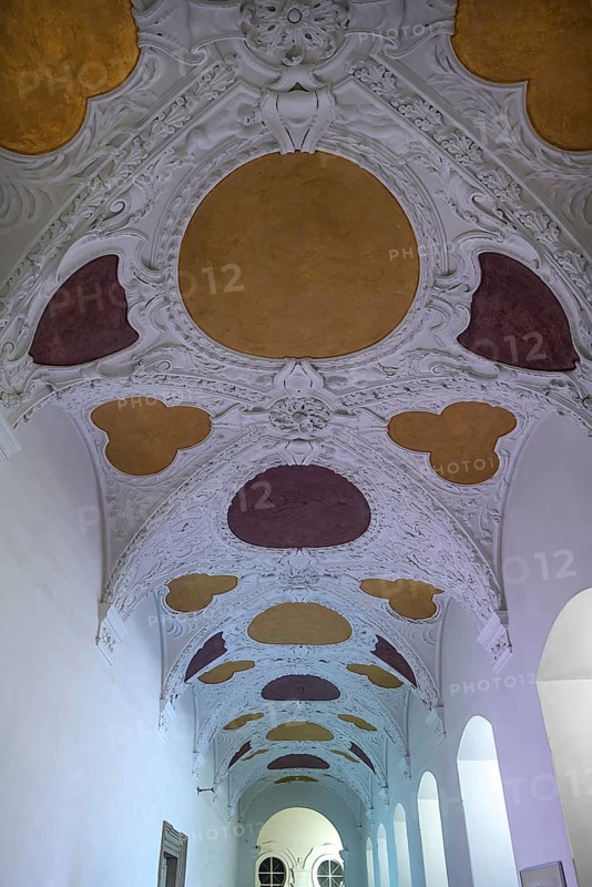 Stucco vault in the State Library in the New Residence