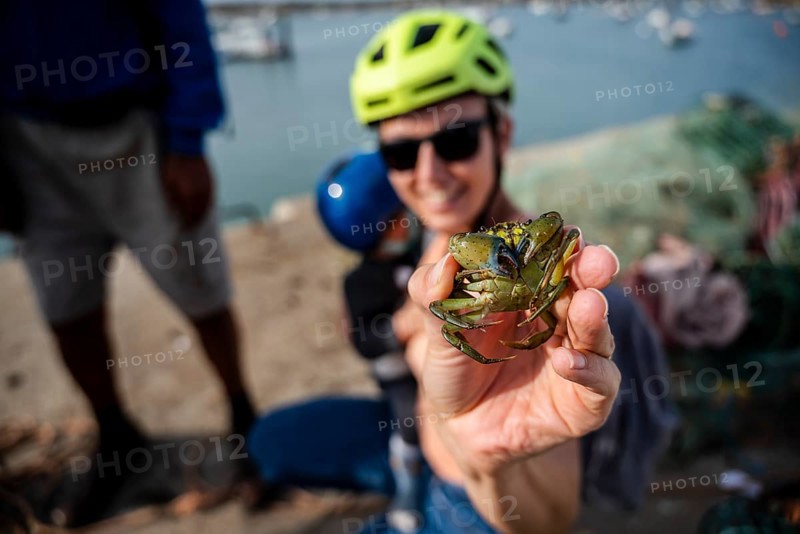 A tourist woman enjoys holding a green crab in her hand in the harbor of Alvor