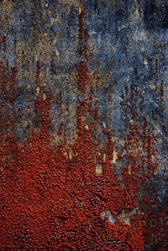 House facade with red algae growth