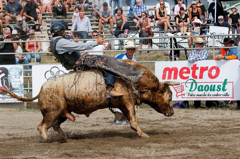 Rodeo