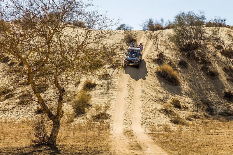 Trip to the Thar Desert by Jeep