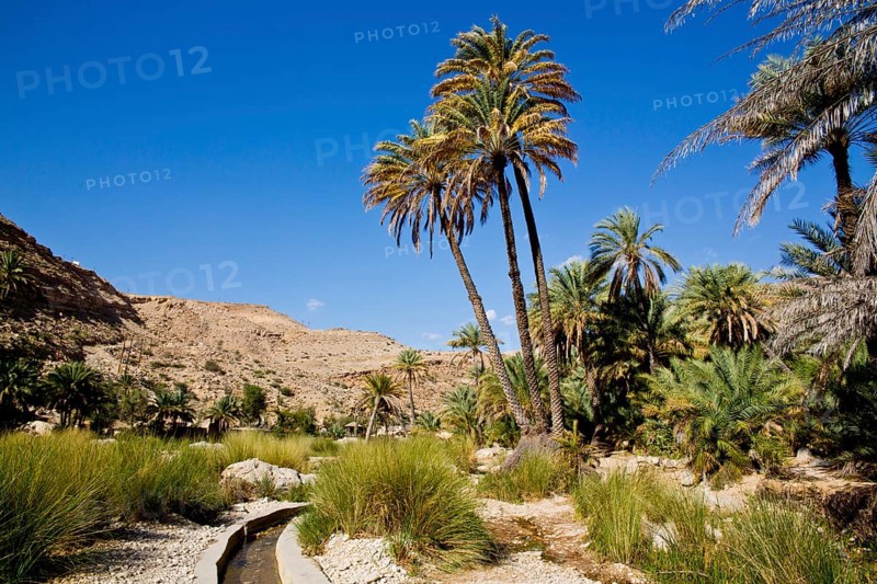 Irrigation Canal