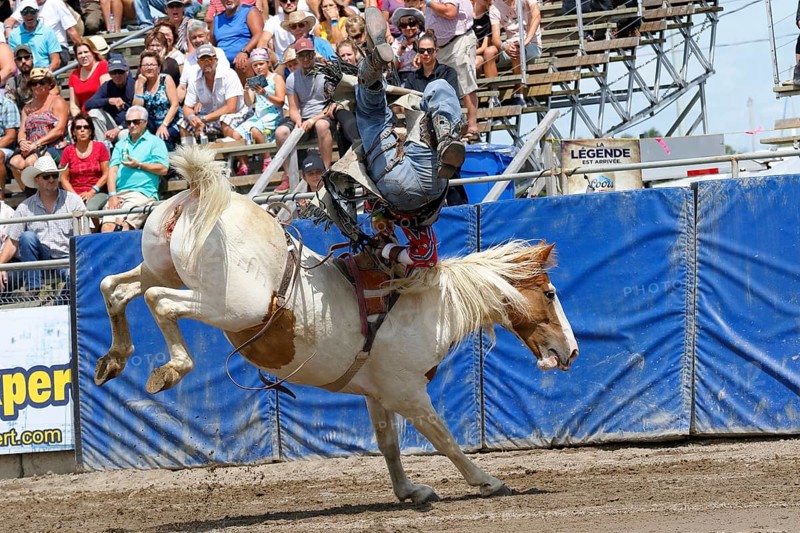 Rodeo competition