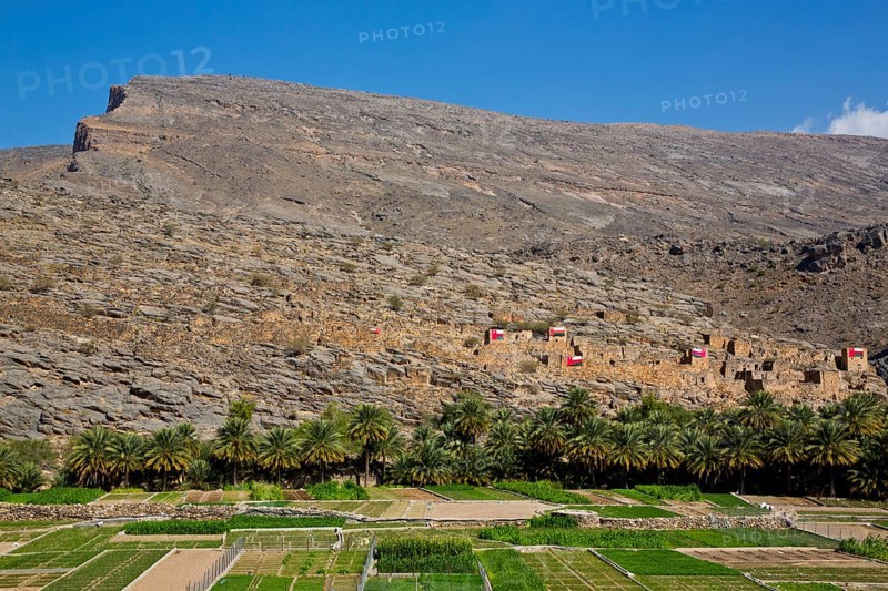 Oasis on the mountain massif of Jabal Akhdar