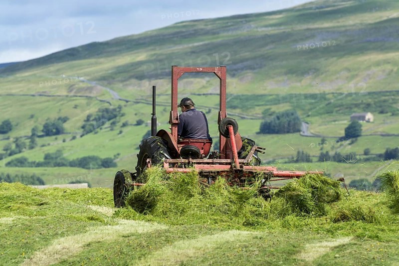 Farmer in Wensleydale turning grass to make hay with a vintage Massey Ferguson tractor. Hawes