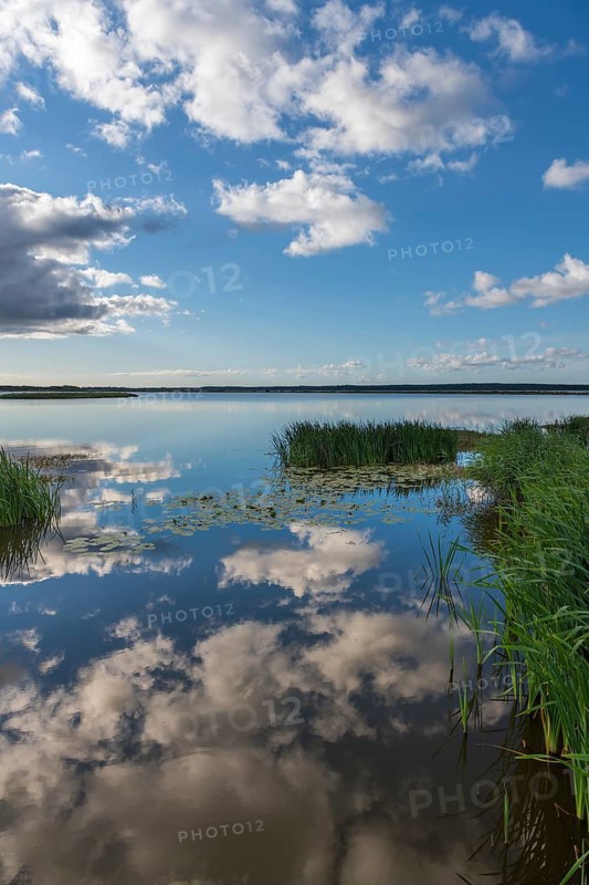 Reeds on the shore of Filso with reflection of the clouds in the morning calm