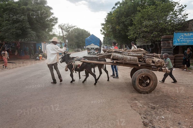 Donkey cart