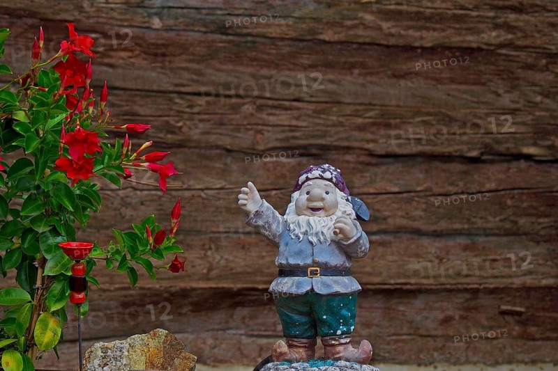 Garden gnome with raised arm