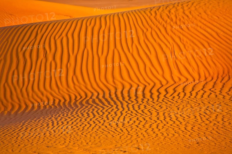 Sand Dunes
