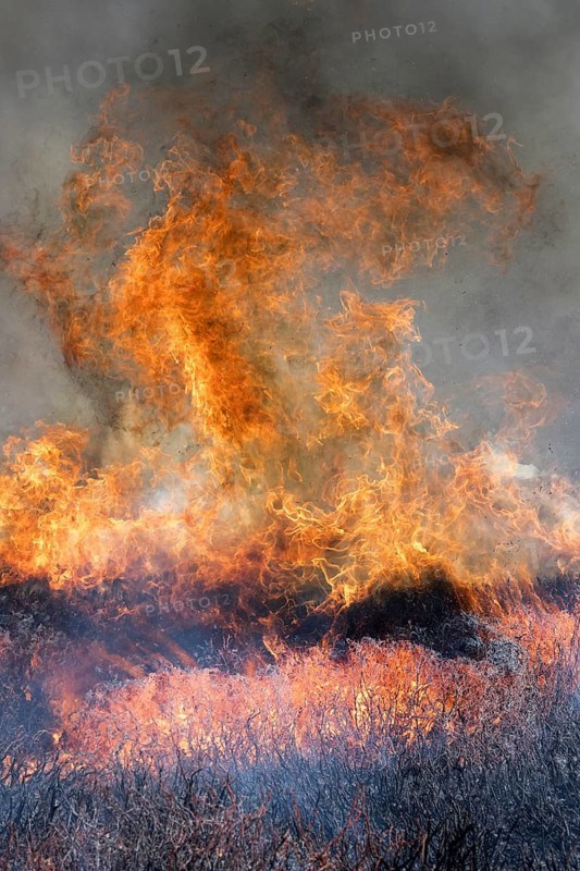 Heather burning on a Grouse Moor in the Yorkshire Dales